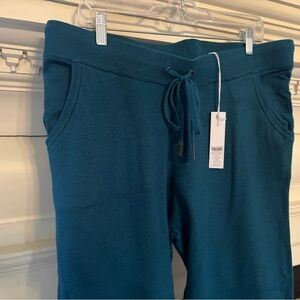 Chico's Women’s Zenergy Tapered Leg Ankle Pant Moonlit Teal Sz 2 (12) NWT $99